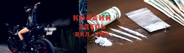 индика Карталы